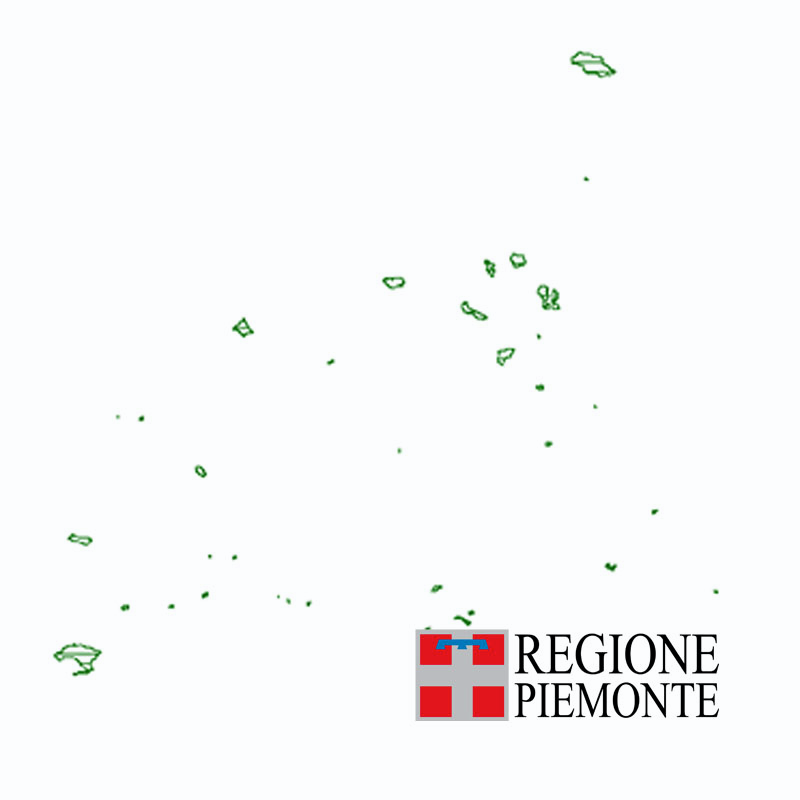 https://www.geoportale.piemonte.it/geonetwork/srv/api/records/r_piemon:e45488d9-2428-467b-bee8-1a1c9250f020/attachments/anteprima_SIR.png