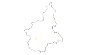 overview